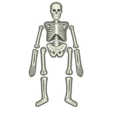 Набір для творчості 4M Світний скелет людини (00-03375)