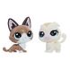 Игровой набор Hasbro Littlest Pet Shop два пета котята серия (B9389_E0946)