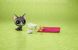 Фигурка Hasbro Littlest Pet Shop набор из двух петов Джейд с аксессуарами (B9358_E0458)