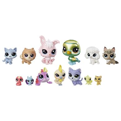 Игровой набор Hasbro Littlest Pet Shop коллекция петов Чудо команда (B9343_E1012)