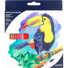 Карандаши цветные акварельные, 24 шт., Kite "Птицы"