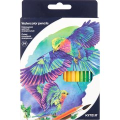 Карандаши цветные акварельные, 36 шт., Kite "Птицы"