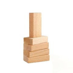 Набір дерев'яних брусків Guidecraft Block Mates, 5 шт. (G7600)