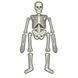 Набор для творчества 4M Светящийся скелет человека (00-03375)