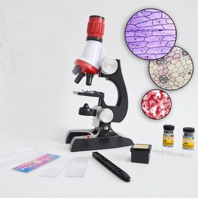 Набор игровой Maya Toys "Микроскоп со светом Профессор" (C2121)