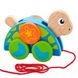 Іграшка-каталка Viga Toys "Черепаха" (50080)