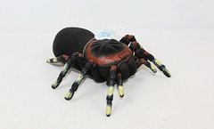 Животные паук резиновый