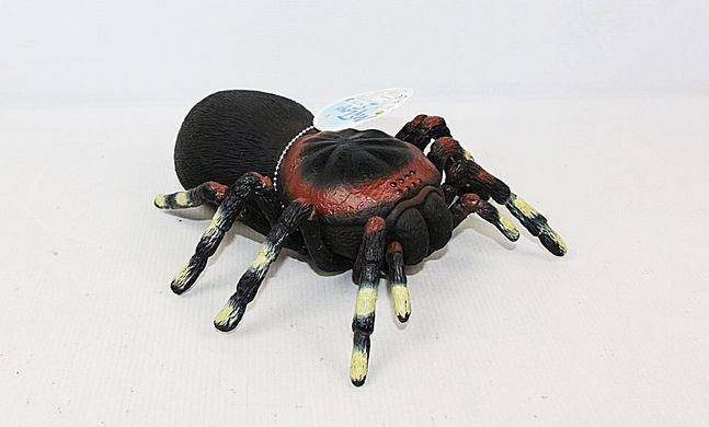 Животные паук резиновый