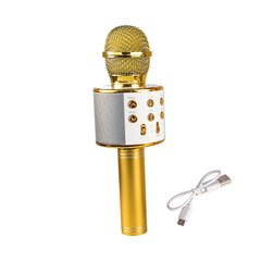 Игрушка QUNXING Микрофон золотой (WS-858-2)