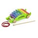 Іграшка-каталка Viga Toy "Крокодил" (50342)